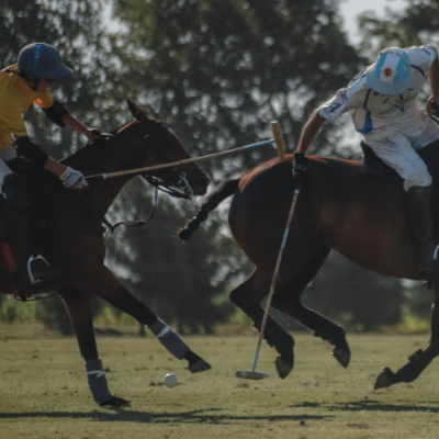 joueurs de polo