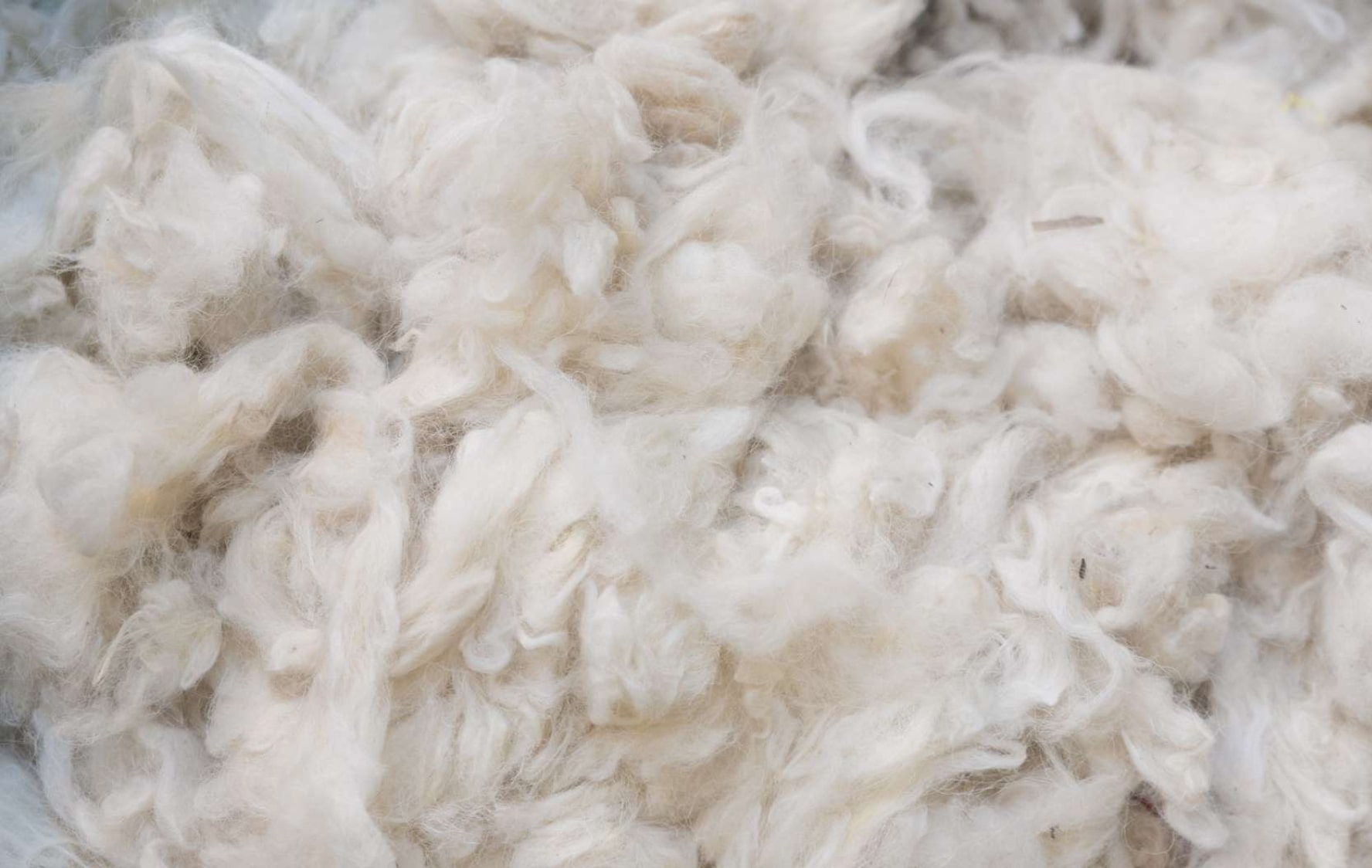 merino-wool-1