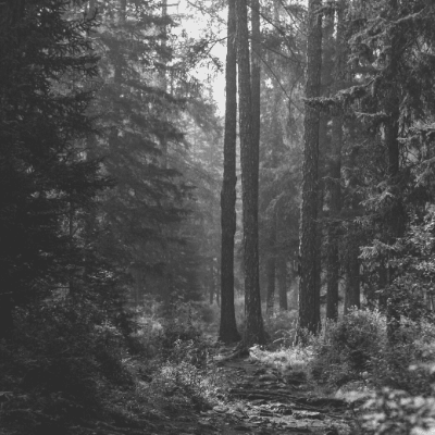 viscose-floresta