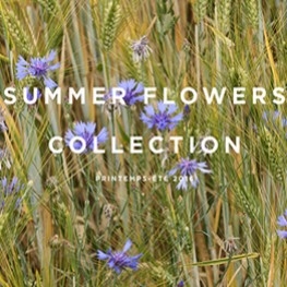 La collection Summer Flowers