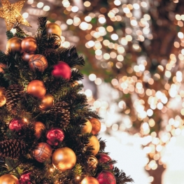 Quel look pour un Noël particulier ?