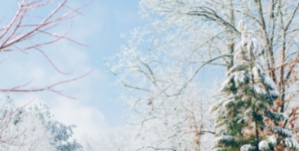 Les must-have de l'hiver