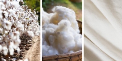 Qu'est-ce que le coton brossé ?